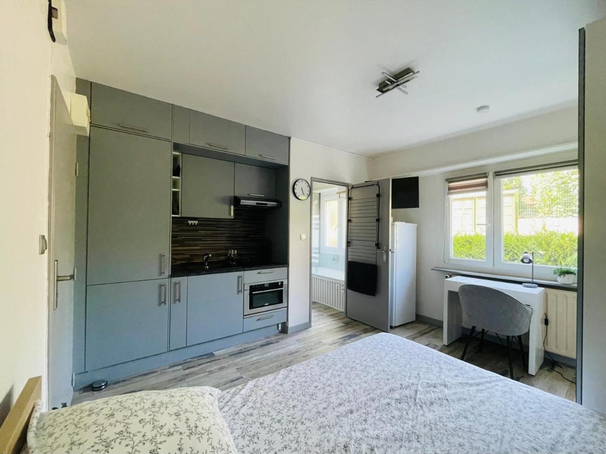 Dnn - Stylish Studio - Free Wifi, Netflix And Parking - Min Away To Basel And Airport - Dishwasher, Washing Machine แซ็ง-ลุยส์ ภายนอก รูปภาพ